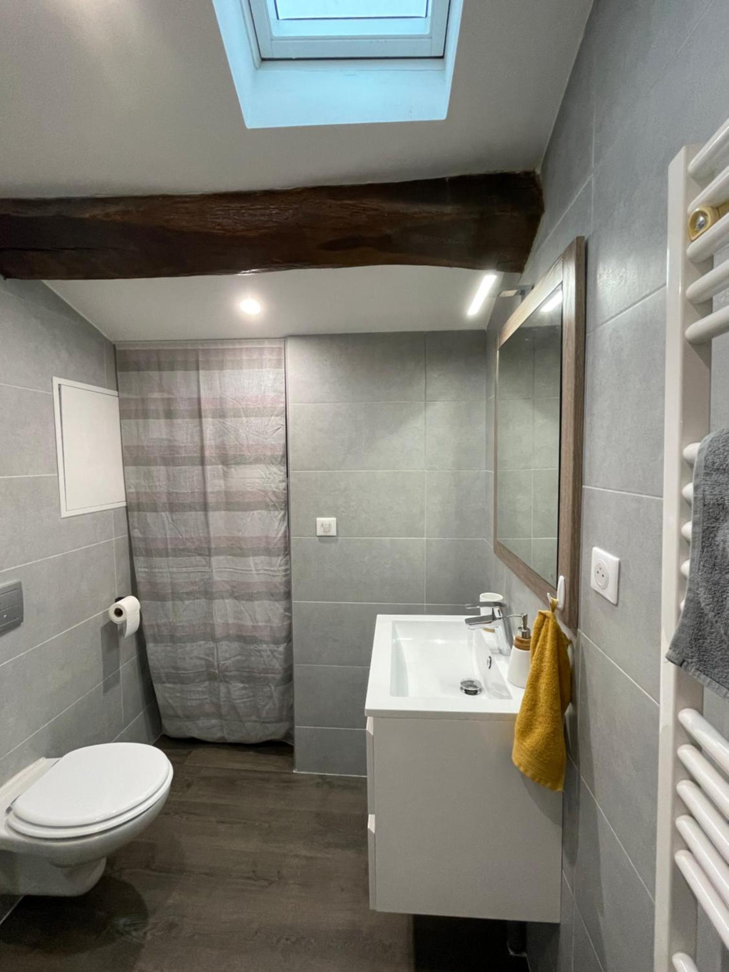Chez Jean-Yves Et Zoe - Le Saint Andre - Au Calme, Tres Propre, Proche Parkings, Clim Niort Exterior foto